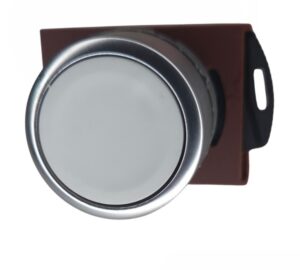 Pulsador 22mm Blanco C2PNF/1A-W
